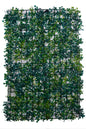 Vertical Garden | Green Wall